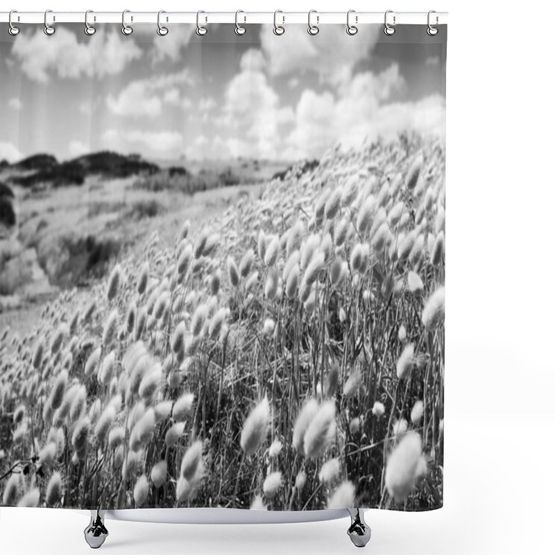 Personality  Golden Field Shower Curtains