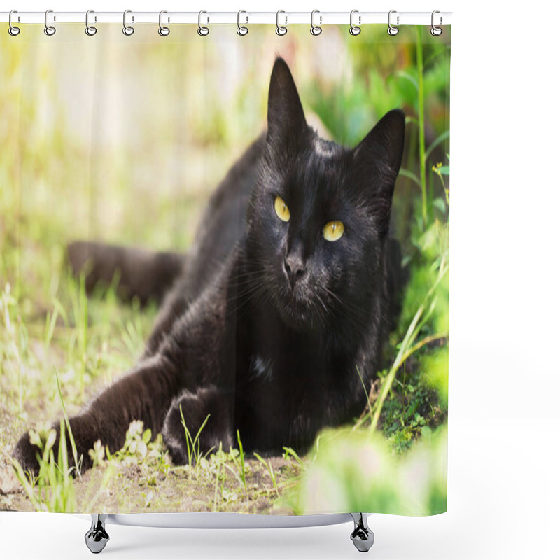 Personality  Beautiful Bombay Black Cat Portrait With Yellow Eyes And Attentive Look Lies In Spring Garden In Sunlight Shower Curtains