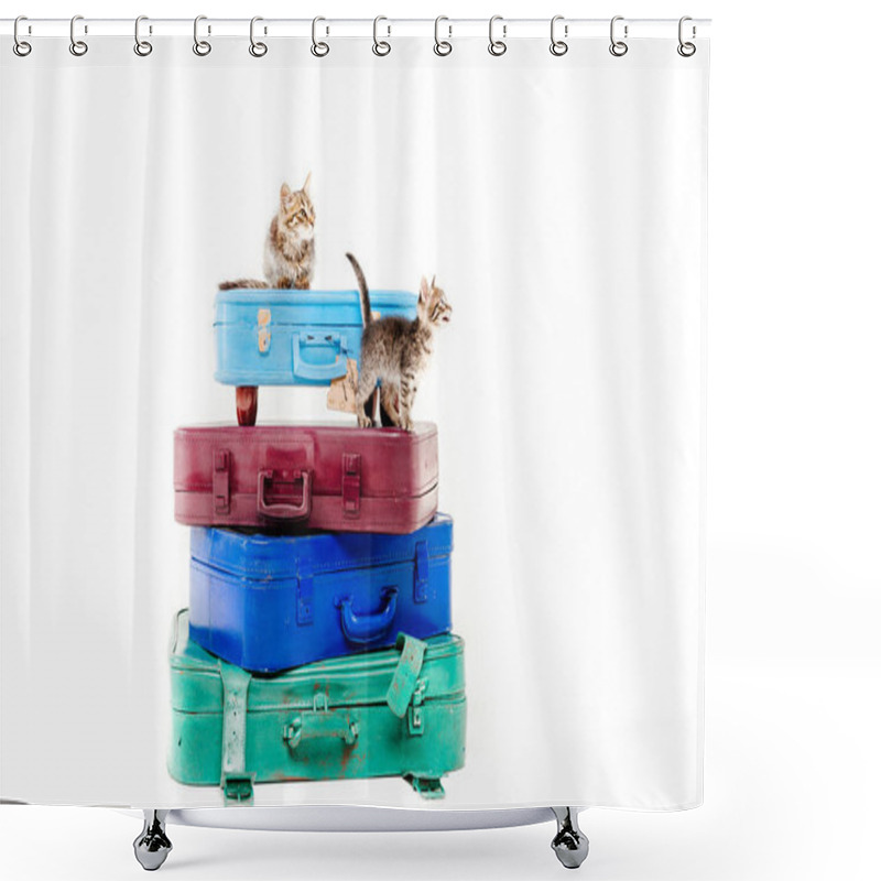 Personality  Cats On Pyramid Of Bags In Front Of White Background Shower Curtains