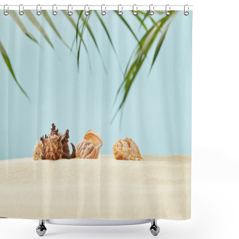 Personality  Selective Focus Of Seashells On Sandy Beach Near Green Palm Leaves On Blue Shower Curtains