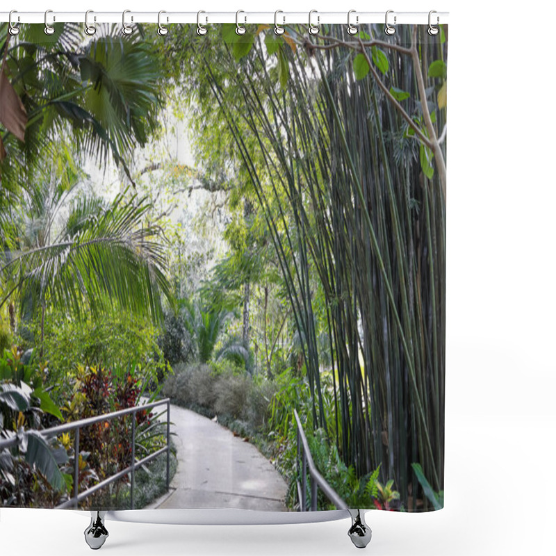 Personality  Tropical Tree Garden And Walkway In Harry P Leu Gardens In Orlando, Florida. Shower Curtains