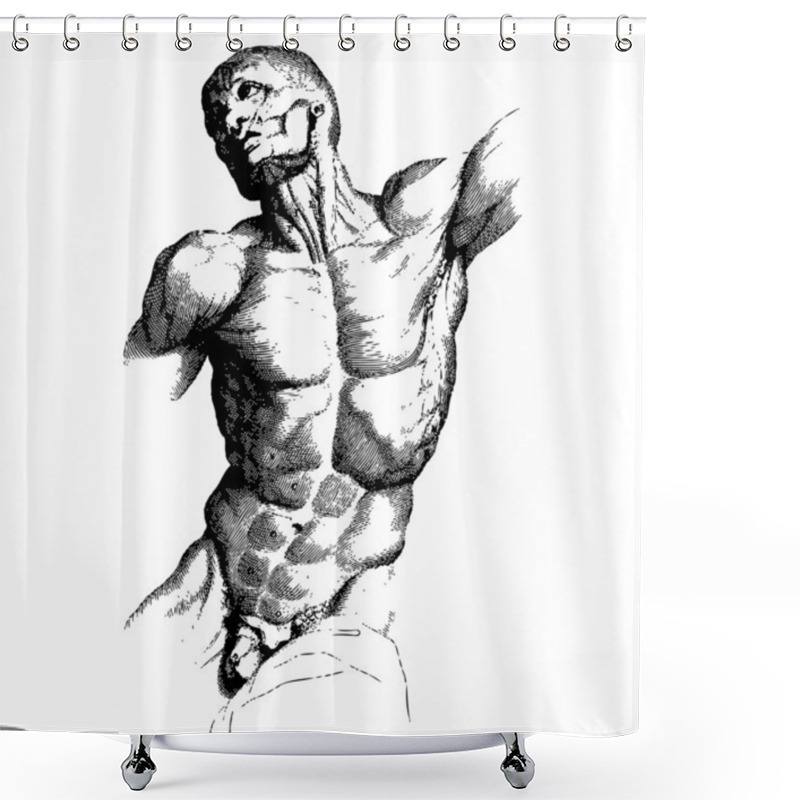 Personality  Male Torso Engraving Shower Curtains