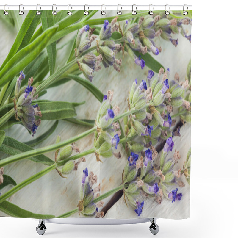 Personality  Lavander Shower Curtains