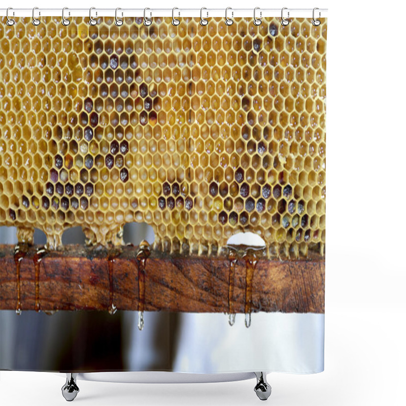 Personality  Fresh Dripping Honey Shower Curtains