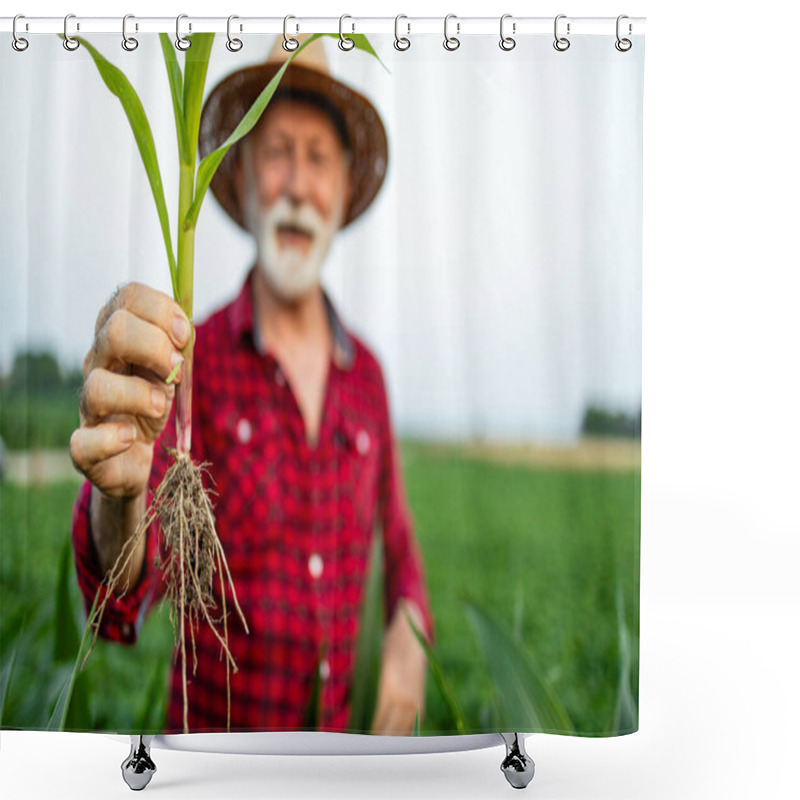 Personality  Senior Farmer Holding Corn Stalk In The Field. Industrial Production Of Grain. Shower Curtains