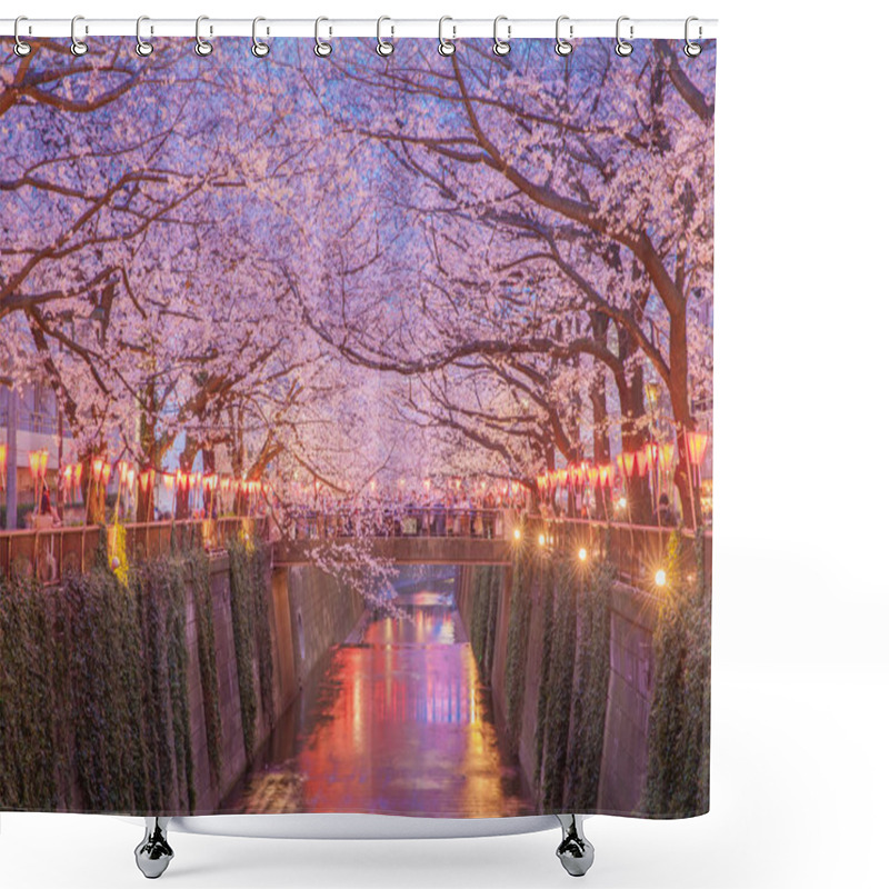 Personality  Tokyo Sakura Cherry Blossom Shower Curtains