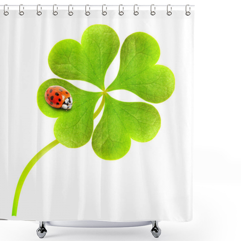 Personality  Funny Picture Of Four Leaf Clover And Ladybug. Shower Curtains