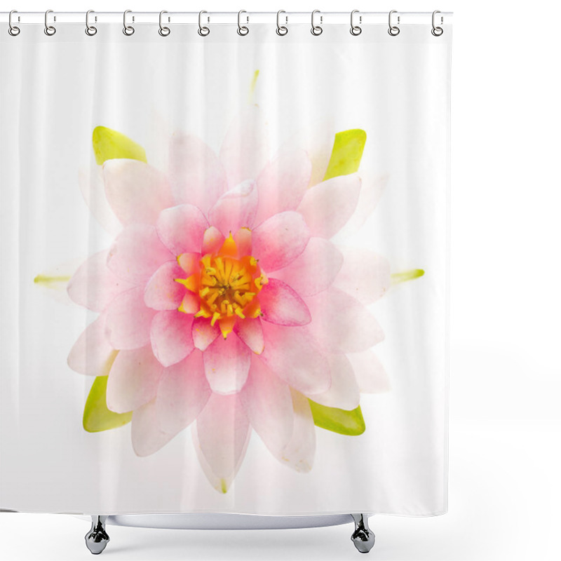 Personality  Lotus Flower Shower Curtains