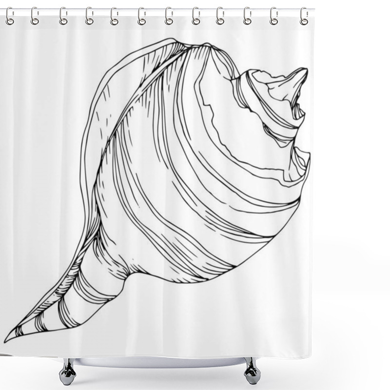 Personality  Summer Beach Seashell Tropical Elements. Black And White Engraved Ink Art. Isolated Shells Illustration Element. Shower Curtains