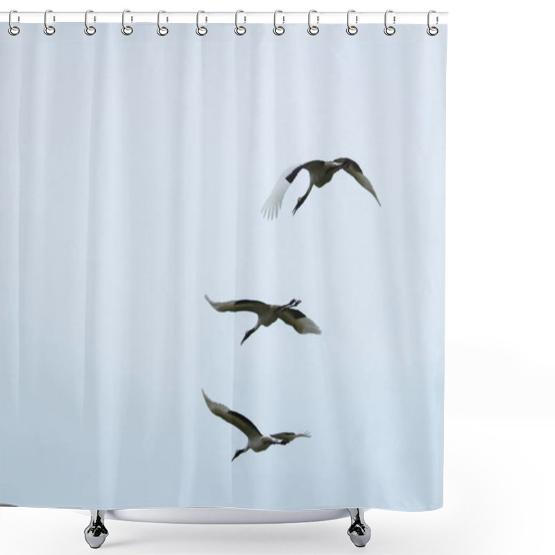 Personality  Back View Of Cranes Flying In Formation Shower Curtains