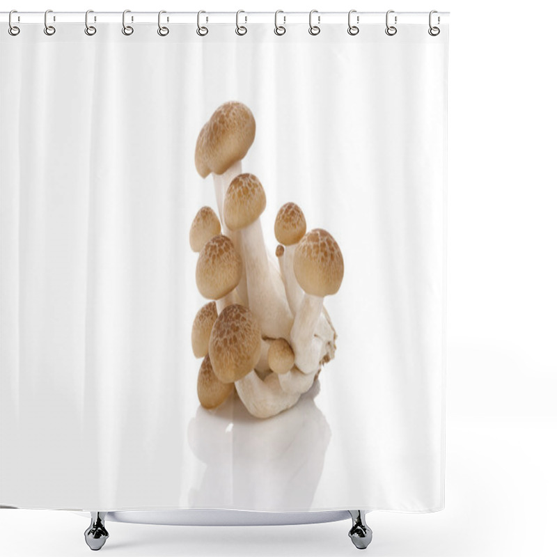 Personality  Culinary Shimeji Mushroom. Shower Curtains