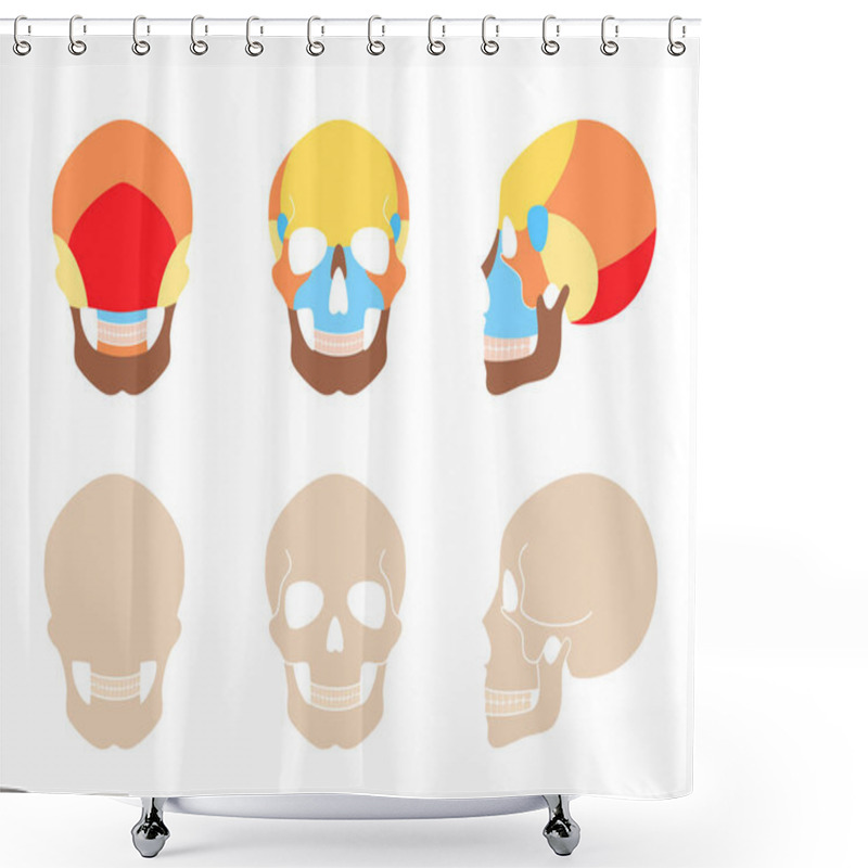 Personality  Human Skull Anatomy Shower Curtains