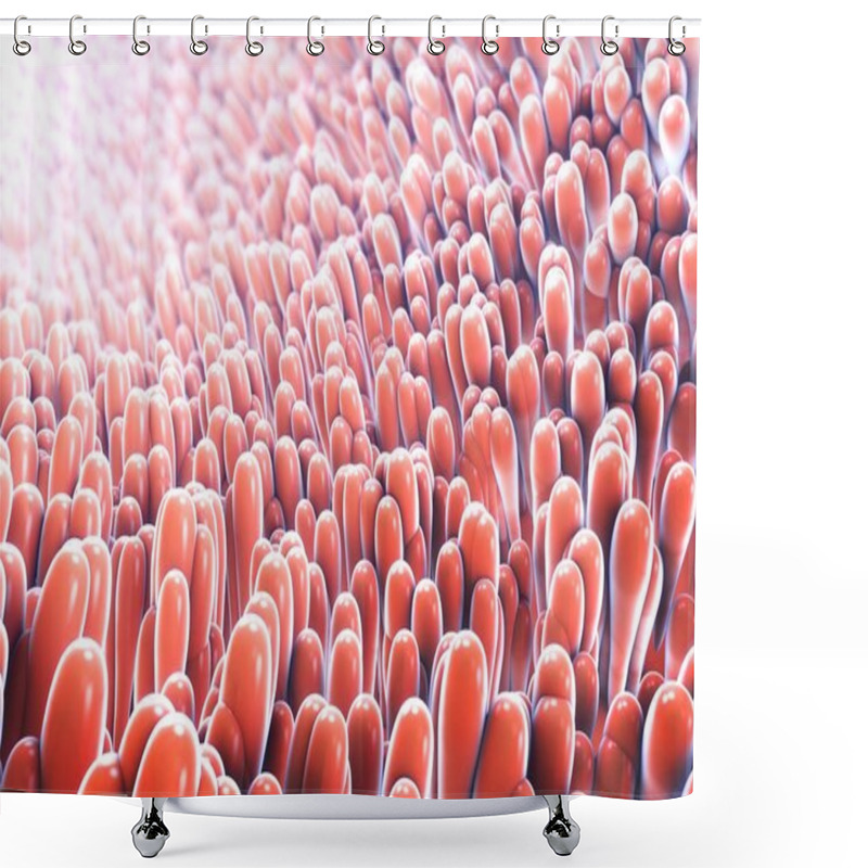 Personality  3d Illustration Of Microscopic Closeup Of Intestine Villus Shower Curtains