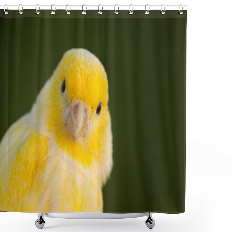 Personality  Beautiful Yellow Canary  Shower Curtains