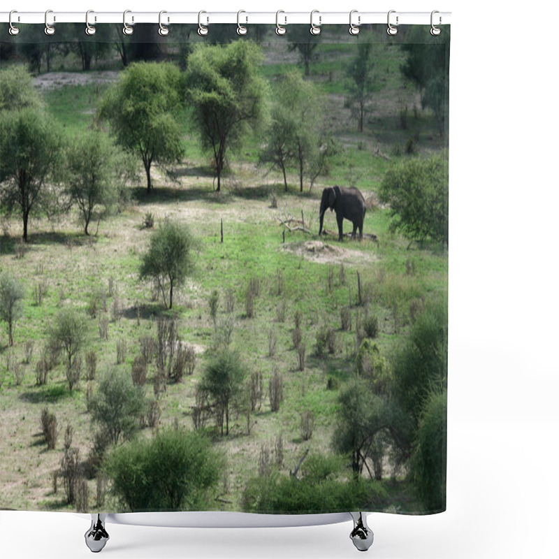 Personality  Elephant. Tanzania, Africa Shower Curtains