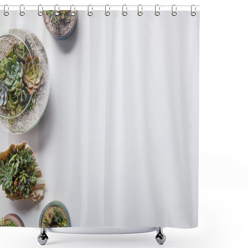 Personality  Top View Of Green Succulents In Various Flowerpots On White Background Shower Curtains