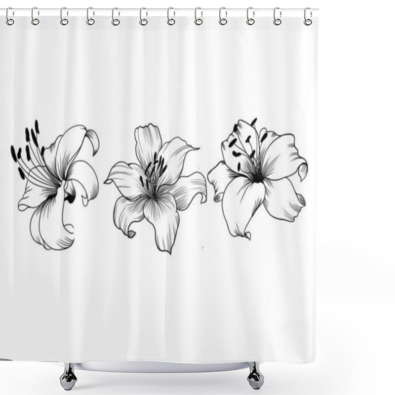 Personality  Set Of Detailed Sketches Of Lily Flower. Botany Tattoo.lily Isolated On Background. Design Greeting Card Shower Curtains