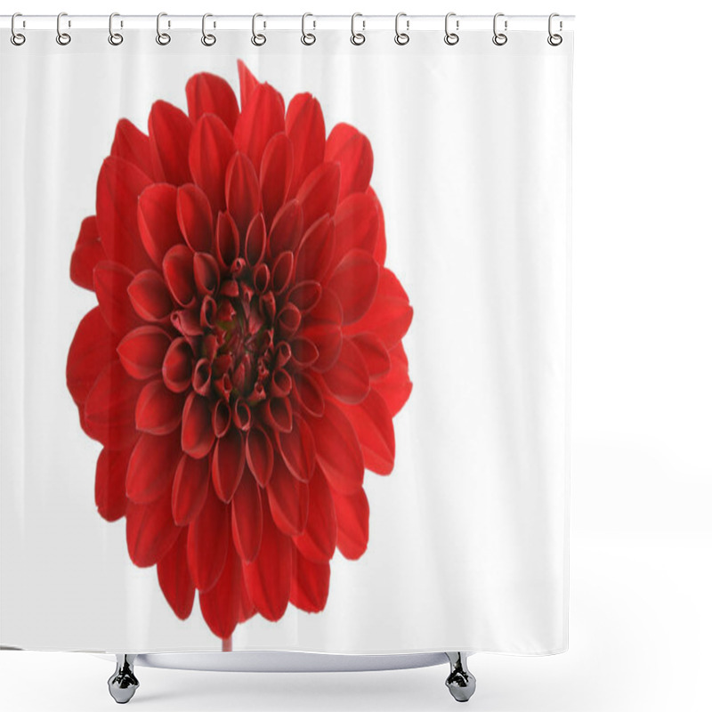 Personality  Close-up View Of Beautiful Blooming Dahlia Shower Curtains