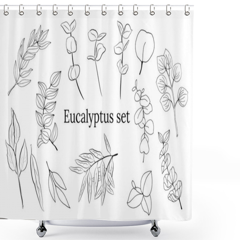 Personality  Large Set Of Eucalyptus Leaves And Branches. Collection Of Eucalyptus Branches. Vector Illustration Of Greenery. Eucalyptus With Seeds. Shower Curtains