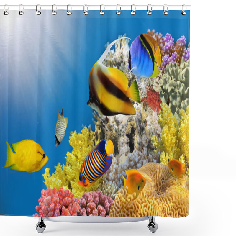 Personality  Photo Of A Coral Colony On A Reef Top Shower Curtains