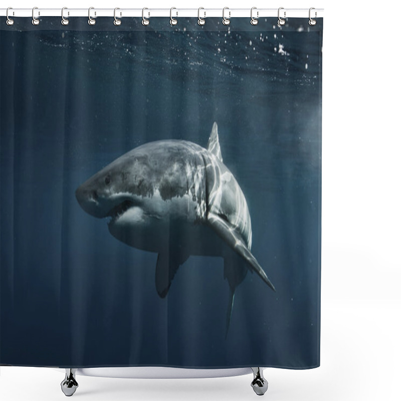 Personality  Great White Shark In Pacific Ocean Shower Curtains