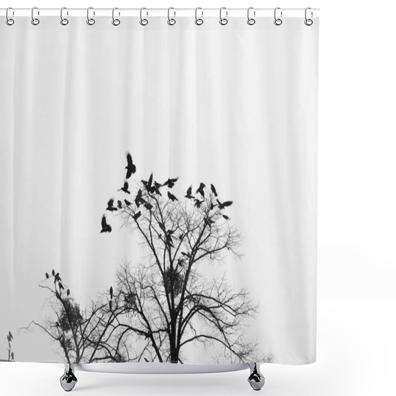 Personality  Black Birds On Tree. Shower Curtains