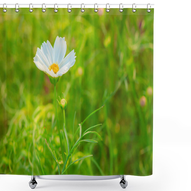 Personality  Beautiful Of White Cosmos Flower In The Green Background Shower Curtains