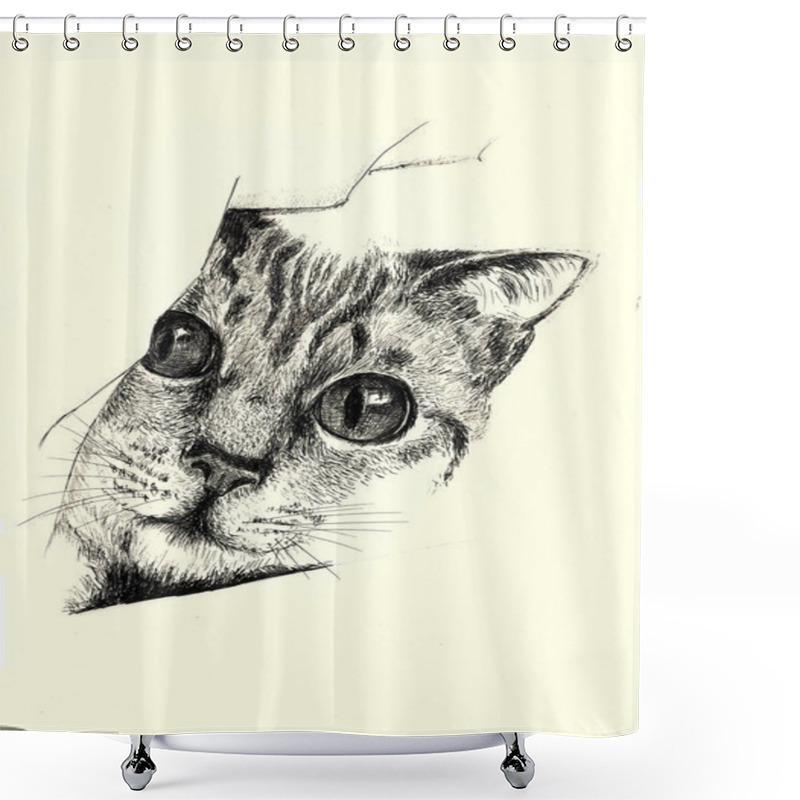 Personality  Illustration - Cat Looks Behind The Wall Shower Curtains