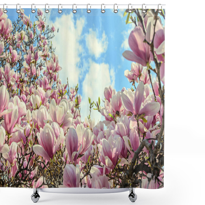 Personality  Magnolia Pink Blossom Tree Flowers, Close Up Branch, Outdoor Shower Curtains