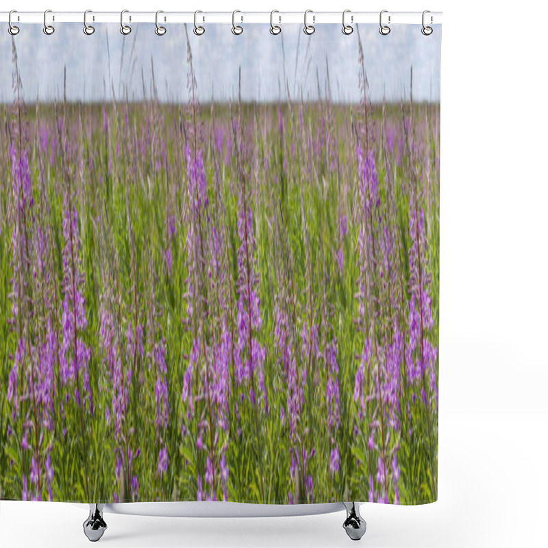 Personality  Blossom Meadow Willow-herb Chamerion Flower Panorama Shower Curtains