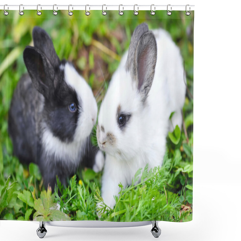 Personality  Funny Baby Rabbits In Grass Shower Curtains