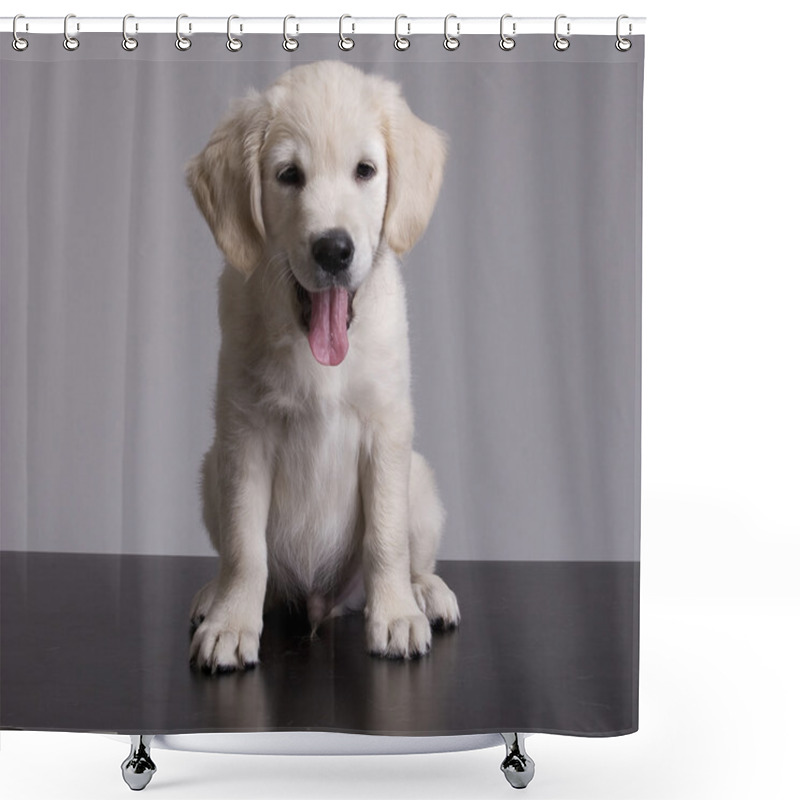 Personality  Baby Golden Retriever Portrait Shower Curtains