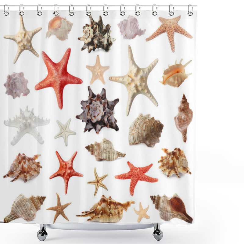 Personality  Collection Of Different Beautiful Sea Stars And Shells On White Background Shower Curtains