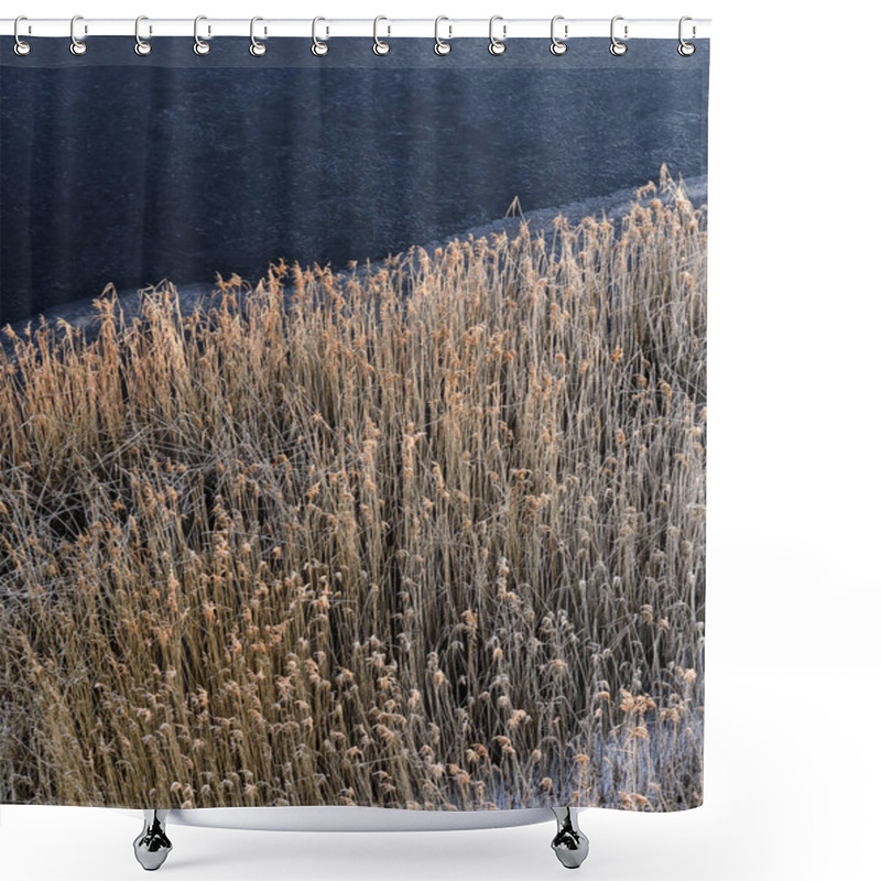 Personality  Frozen River , Coastline Covered With Frosty Reeds. Shower Curtains