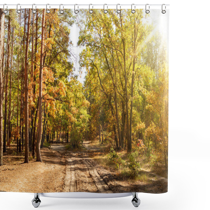 Personality  Scenic Autumnal Forest With Golden Foliage, Path And Shining Sun Shower Curtains