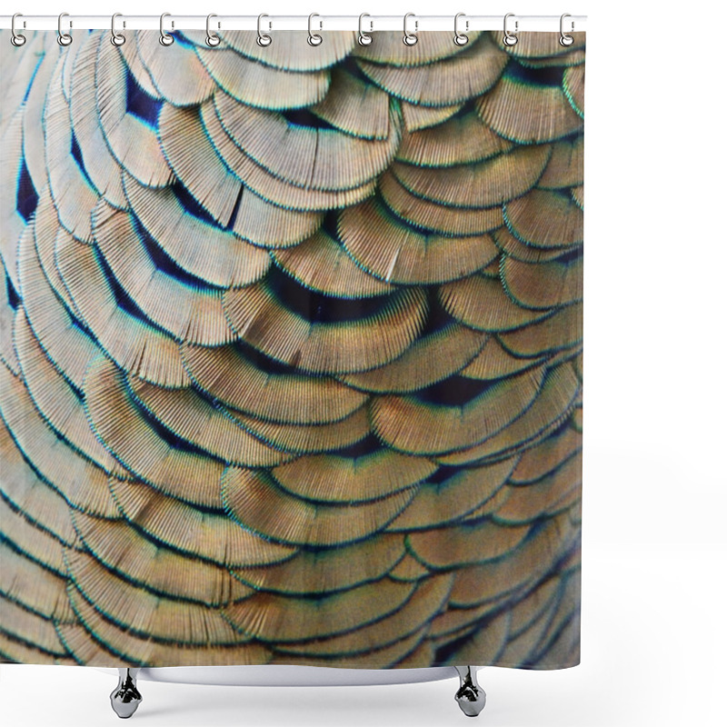 Personality  Green Peacock Feathers Shower Curtains