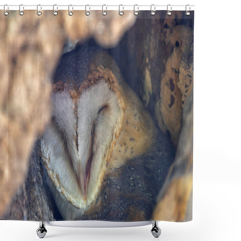 Personality  The Barn Owl Hunts Rodents And Insects At Night. Photo Captured In A Rural Field In The UK. Shower Curtains