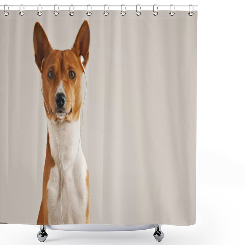 Personality  Dog Wearing Earphones Shower Curtains