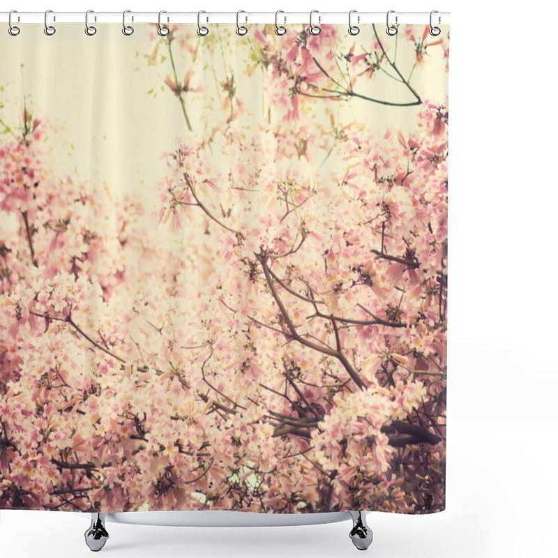 Personality  Cherry Blossoms Shower Curtains