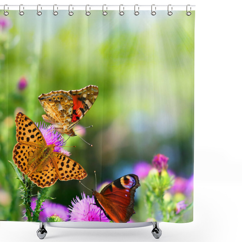 Personality  Butterflies On Flowers Shower Curtains