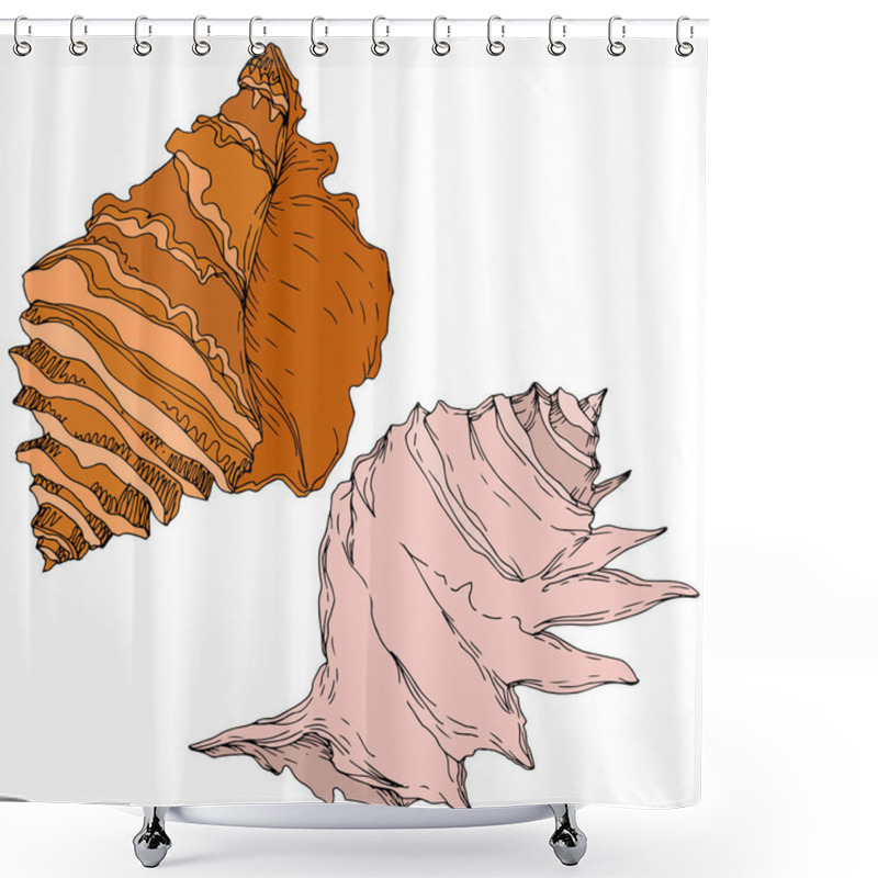 Personality  Summer Beach Seashell Tropical Elements. Black And White Engraved Ink Art. Isolated Shells Illustration Element. Shower Curtains