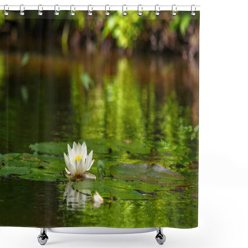 Personality  Waterlily In Pond Shower Curtains