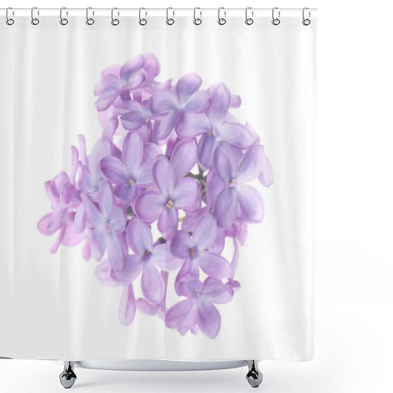 Personality  Beautiful Violet Lilac Blossom Isolated On White Shower Curtains