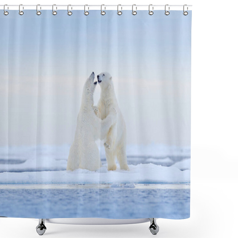 Personality  Polar Bear Dancing On The Ice. Two Polar Bears Love On Drifting Ice With Snow, White Animals In The Nature Habitat, Svalbard, Norway. Animals Playing In Snow, Arctic Wildlife. Funny Image From Nature. Shower Curtains