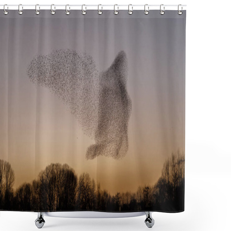 Personality  The Murmurations Of Starlings In Evening Light Shower Curtains