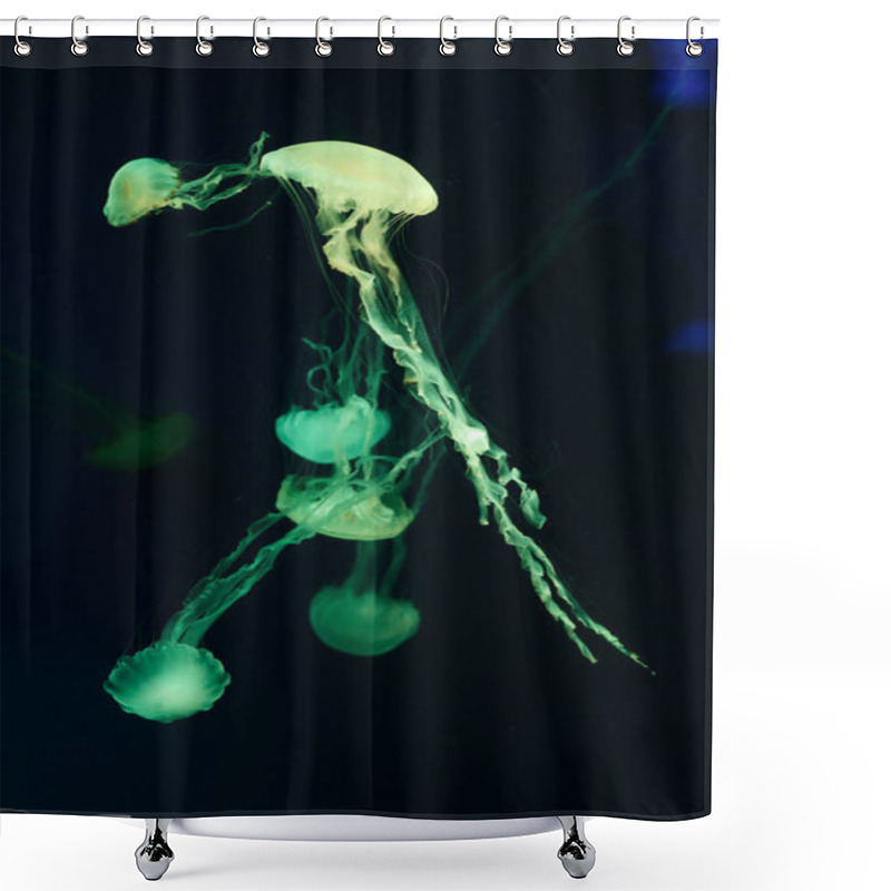 Personality  Beautiful Jellyfish, Medusa In The Neon Light With The Fishes. Underwater Life In Ocean Jellyfish. Exciting And Cosmic Sight Shower Curtains