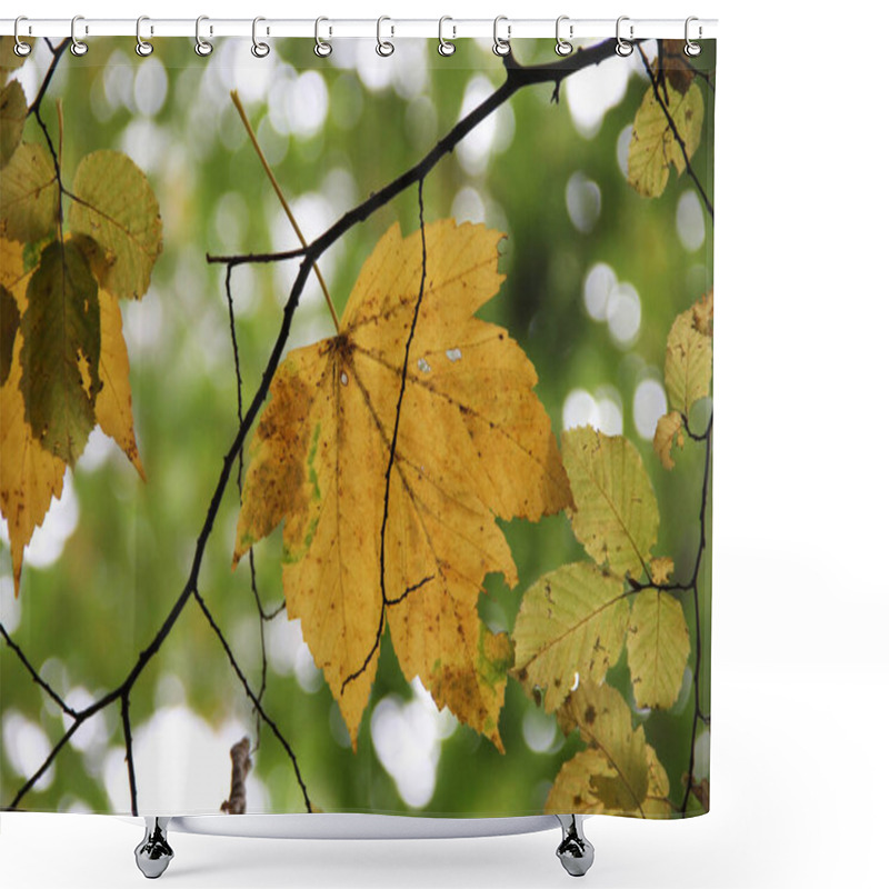 Personality  Bottom View Of A Yellow Maple Leaf Lying On A Branch Against A Background Of Foliage Shower Curtains