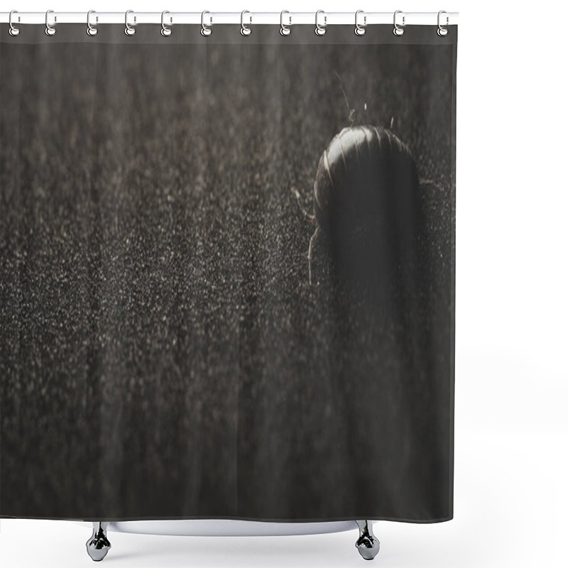 Personality  Woodlouse Insect Macro Close Up, Selective Focus Shower Curtains