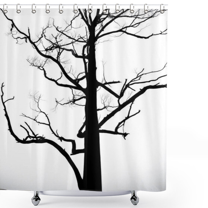 Personality  Beautiful Black And White Tree Without Leaves Shower Curtains