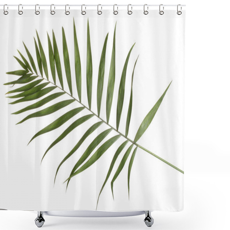 Personality  Beautiful Palm Leaf Isolated On White Shower Curtains